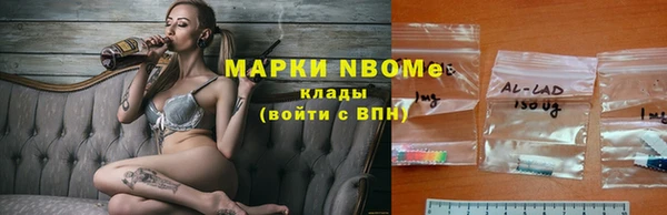 винт Ельня