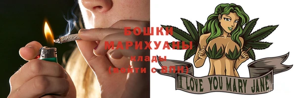 PSILOCYBIN Заводоуковск