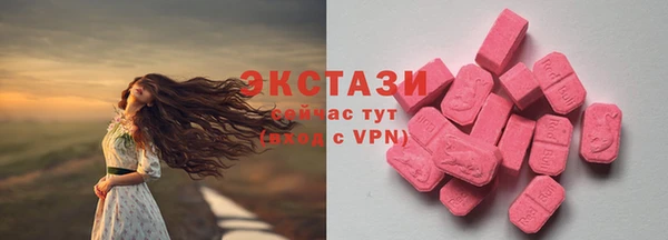 винт Ельня