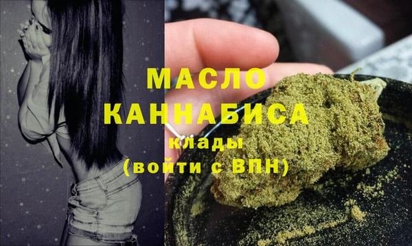 винт Ельня