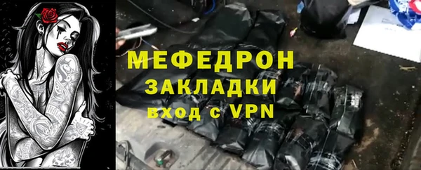 прущие грибы Дмитров