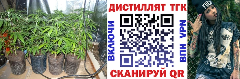 ТГК вейп с тгк  сколько стоит  Ядрин 